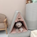 포근하개 이미지