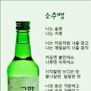 주당 Daum카페