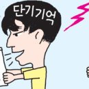 기억과 기억 이미지