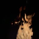 합강캠핑장(프리캠핑존) 이미지