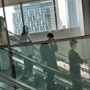 AI 시대의 조직 구조: 1주1부 체제