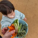 다정농장 | [무럭무럭농장] 18개월 아기와 방문한 후기