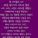 프뉴마 킥복싱, 태권도 이미지