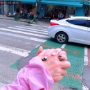 안성보룡약국 이미지