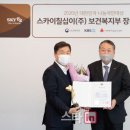 스카이앤스타