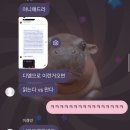 CU 망미우리점 | 포치타와 뜨개담곰