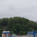 대진항수산시장
