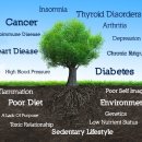 홍가정의학과의원 이미지