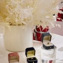 헐리우드 이미지