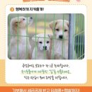들샘농원 네이버블로그