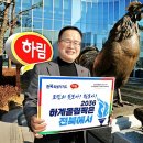 하계 이미지