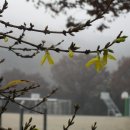 경주한의원 이미지