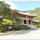 꽃며느리 | 국립공원 변산반도 안의 내소사 !