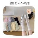 얇은 면 시스루 양말 무압박 골지 무봉제 롱 루즈삭스 여름 레이스 후기