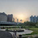 도교2교 이미지