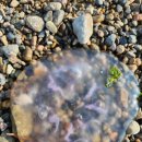 190워터스테이 이미지