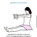 팔뚝살빼는 최고의방법 이미지