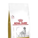 대웅동물병원 이미지