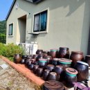 문경사과꽃팜스테이 이미지