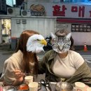 장군태권도장 이미지