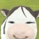 터미널편의점 이미지