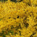 한잔가득 이미지