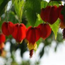 호동바닷가가든 이미지