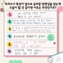 아이엘씨 이미지