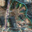 충희공 이인손 묘 이미지