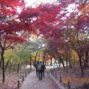 세분당구장 이미지