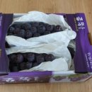 슬기네농장 이미지