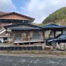 고치골손두부 이미지