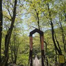 [DMZ 평화의길 31-1코스] [고성] 진부령미술관~소똥령숲길~소똥령마을