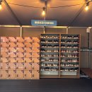 안심산길 | 여수액티비티 유월드 롤글라이더 모녀여행 실제 체험 후기