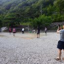 대성농장(1) 이미지