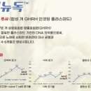 플럼라인