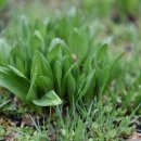 명이농장 이미지