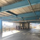 포항수산 | 포항 죽도시장대게 애견동반:한신수산 수율 후기