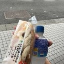 2. 🇯🇵 도쿄 2박 3일 / 디즈니 씨