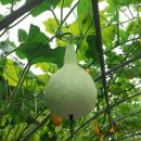 문당환경농업마을 이미지