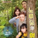 노루숲 티브이데일리