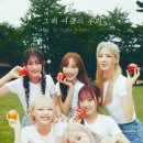 시그니처 카카오 검색결과