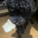 갤러리Haus 이미지