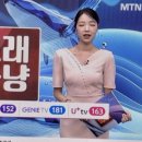 농업기술센터(통신팀설치)2 | ◐ MTN 오늘 장(11일) 고래 사냥, 증시 전문가들의 내일장 투자전략?