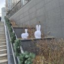 미리내 행정사사무소 이미지