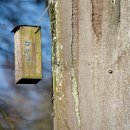 신한보청기 이미지