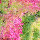 어느가을 오후 이미지