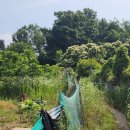 천안 왕자산(252.4m)- 영인지맥분기점 -망향의동산. 이미지