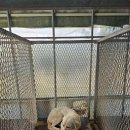 마리 도동마을 이미지