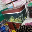 월산약국 이미지